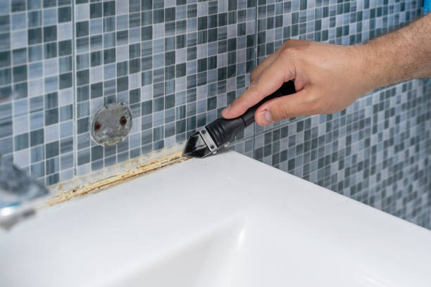 Professional Mold Removal in Bismarck, MO
