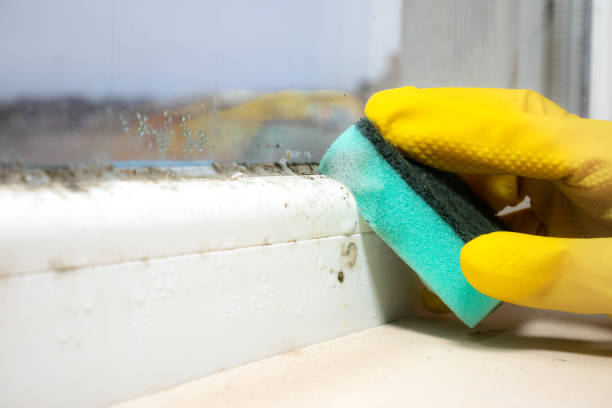 Best Mold Testing  in Bismarck, MO