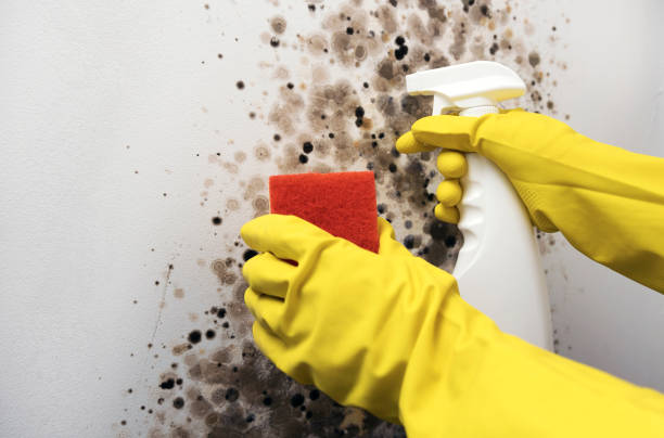 Water Damage Restoration in Bismarck, MO